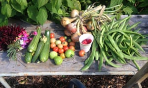 Variety of produce from an allotment.