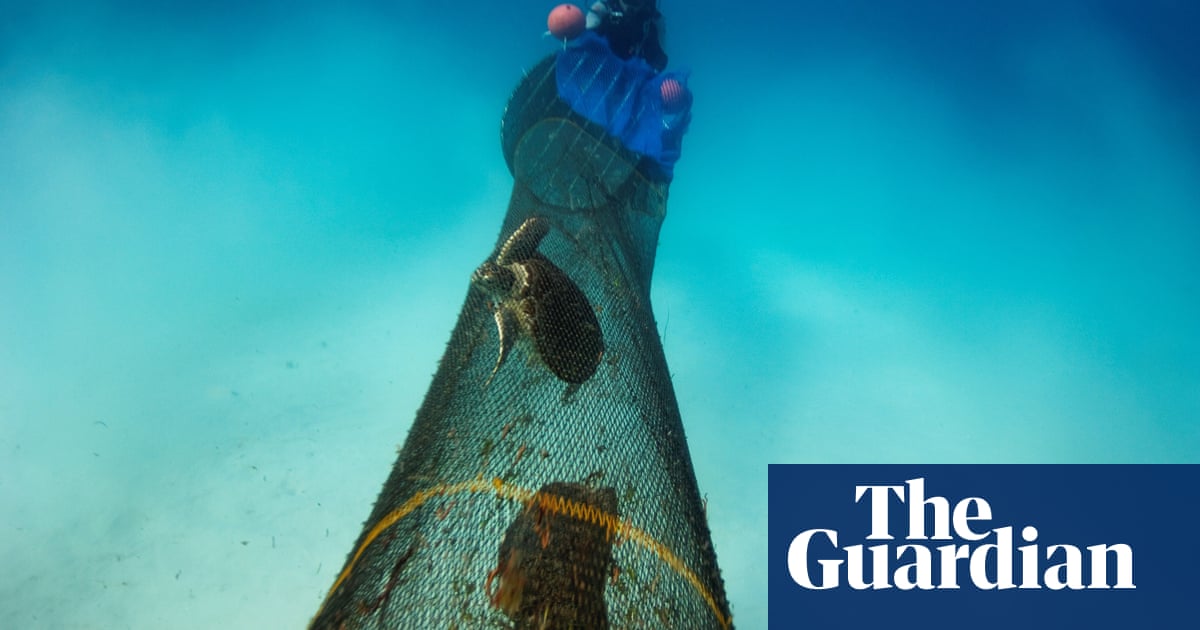 Europe’s fishing industry to battle with conservationists over bottom trawling