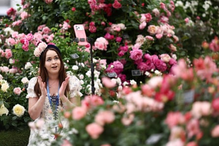 A visitor records a video in front of a display of roses at the show.