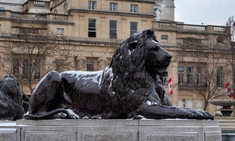 One of the Lion statues in Trafalgar Square.