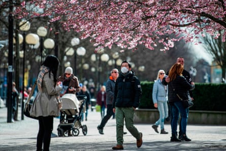 People walk among the cherry blossoms at Kungsträdgården in Stockholm