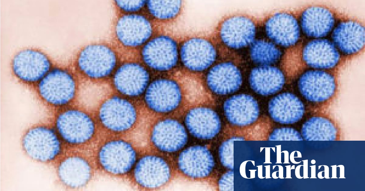 Viruses survive in fresh water by ‘hitchhiking’ on plastic, study finds