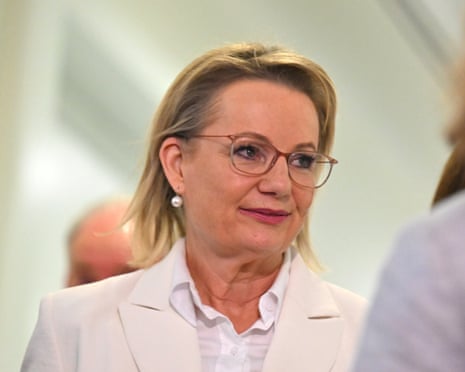 Former opposition leader Sussan Ley