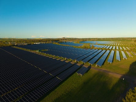 A field full of solar panels