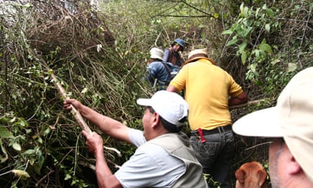 Los residentes de Bolaños retiran vegetación como parte de la minga.