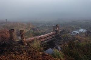 Shipwrecks in the bog Shipwrecks in the bog, Ilkley Moor, Yorkshire, England