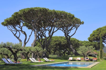 Outdoor swimming pool next to trees on a green lawn