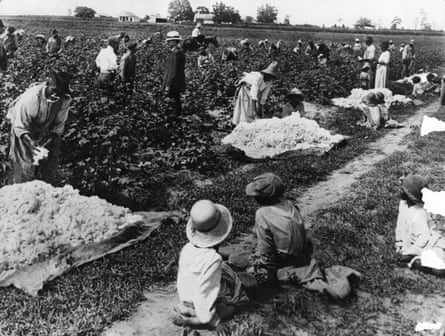 People pick cotton on a plantation in South Carolina.