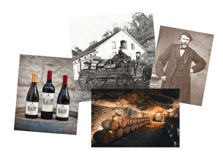 كولاج من بوينا فيستا