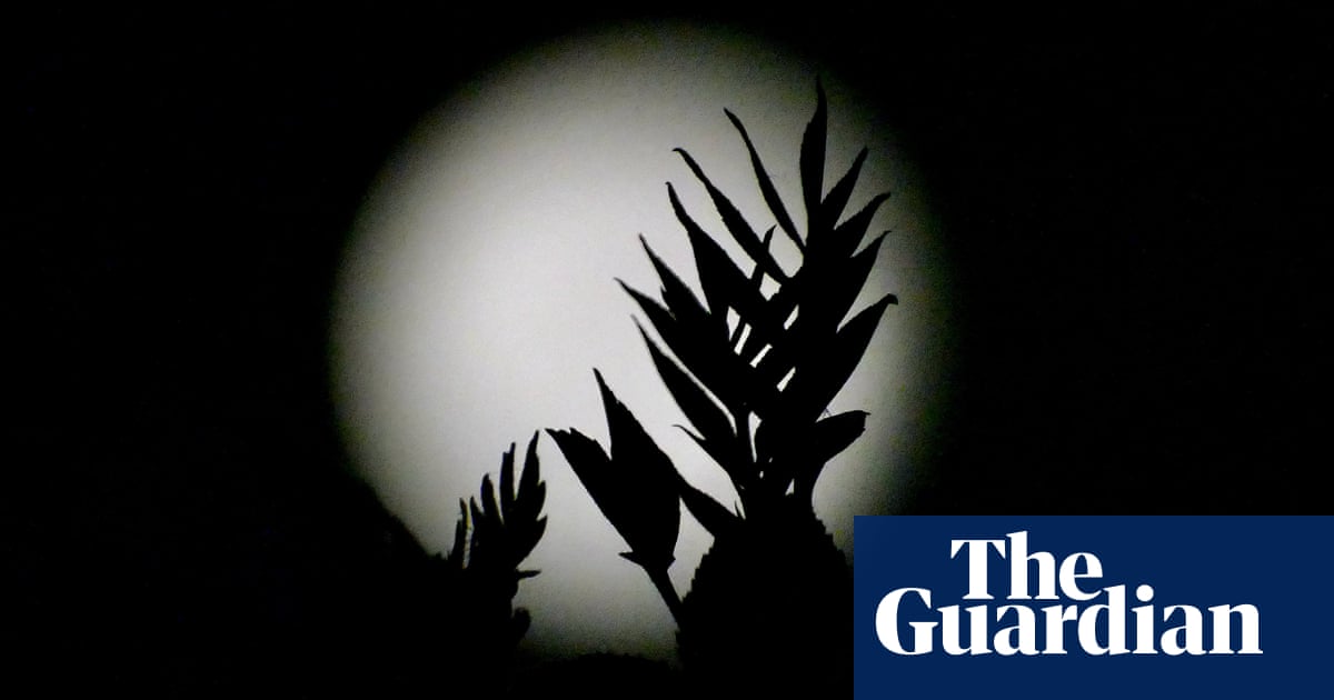 Scientists Propose Lunar Biorepository for Endangered Species