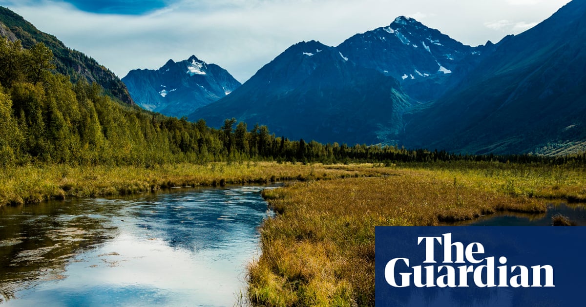 Alaska athlete uses bear spray to fend off animal attack: ‘nightmare come to life’