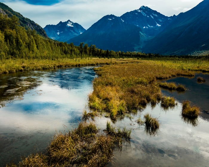 Alaska athlete uses bear spray to fend off animal attack: ‘nightmare come to life’