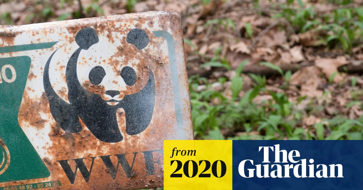 Report clears WWF of complicity in violent abuses by conservation rangers Report clears WWF of complicity in violent abuses by conservation rangers