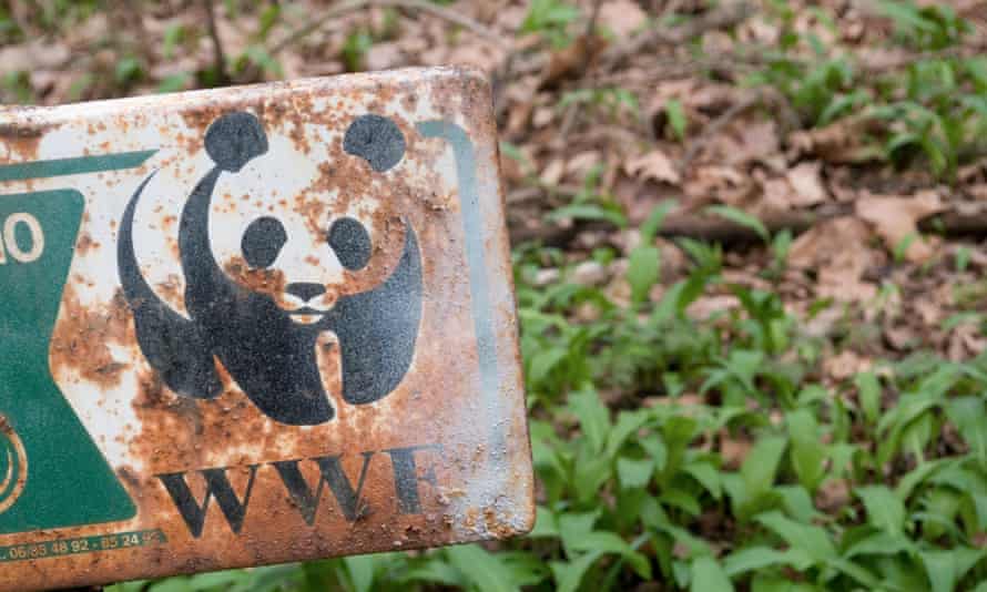 Report clears WWF of complicity in violent abuses by conservation rangers