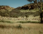 Corpo de criança desaparecida é encontrado no Outback australiano