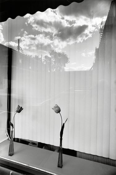 Nyack, New York, 2007. In the mid-1990s, Friedlander began making more still lives: inspired by the vases of freshly cut flowers his wife Maria would place around their home, but also ceding to the reality of aching knees. Surgery helped restore his mobility but images like this, made a decade later, bear traces of the careful, quiet, aptitude honed during that period
