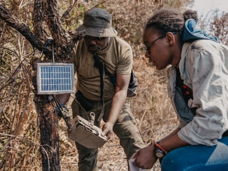 Dr Ruffin Mpanga and his assistant, Ruth, bend down to examine a camera trap and mini-solar panel hanging from a tree