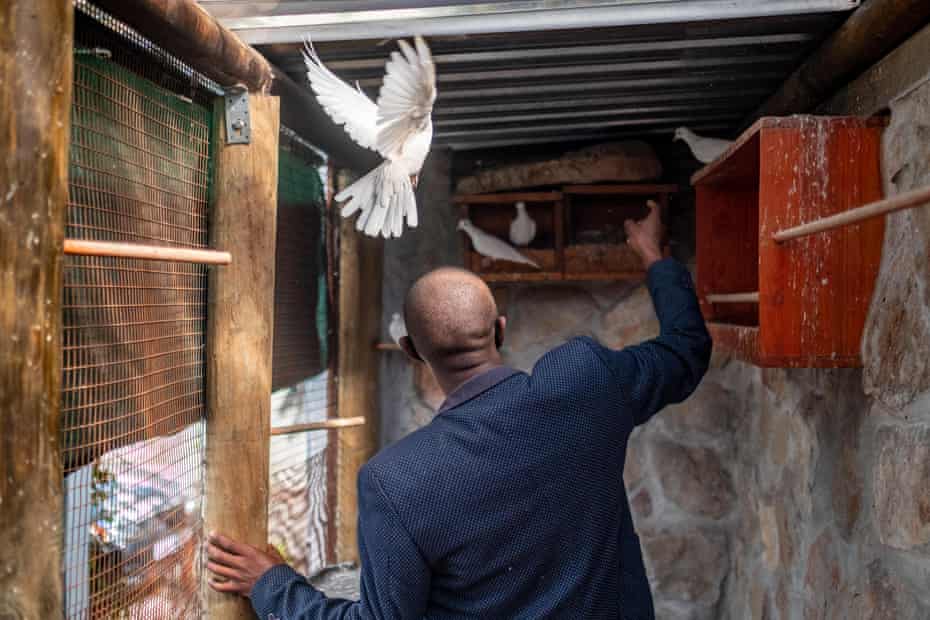 Anele Dyasi enters the college dove coop