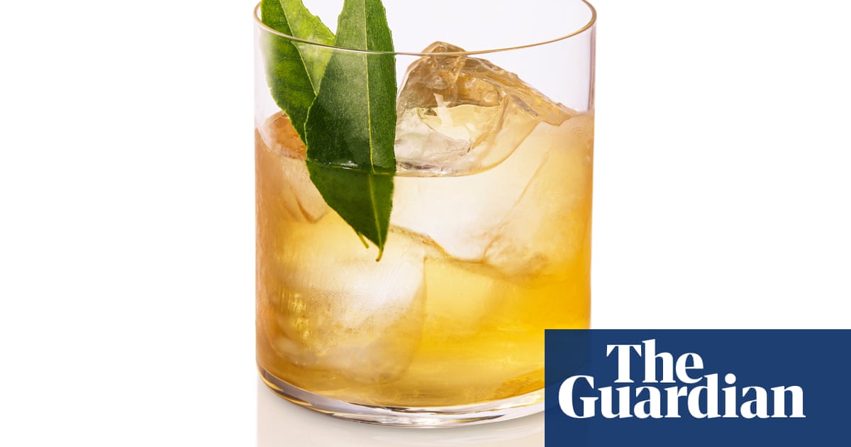 Cocktail of the week: Don't Tell Dad's clarified curry leaf daiquiri recipe | The good mixer