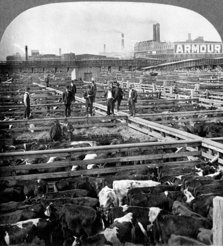 Union Stock Yard in Chicago in 1909.
