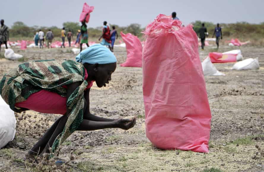 Una mujer barre el grano de sorgo del suelo