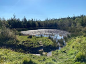 The Timble Ings Wood, Washburn valley, where water voles are being released by Yorkshire Water as part of efforts to help the endangered animals.