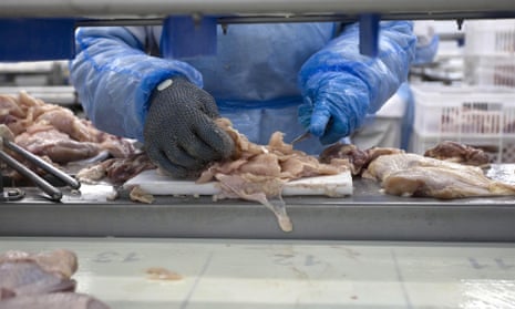 A worker packs chicken in a meat factory
