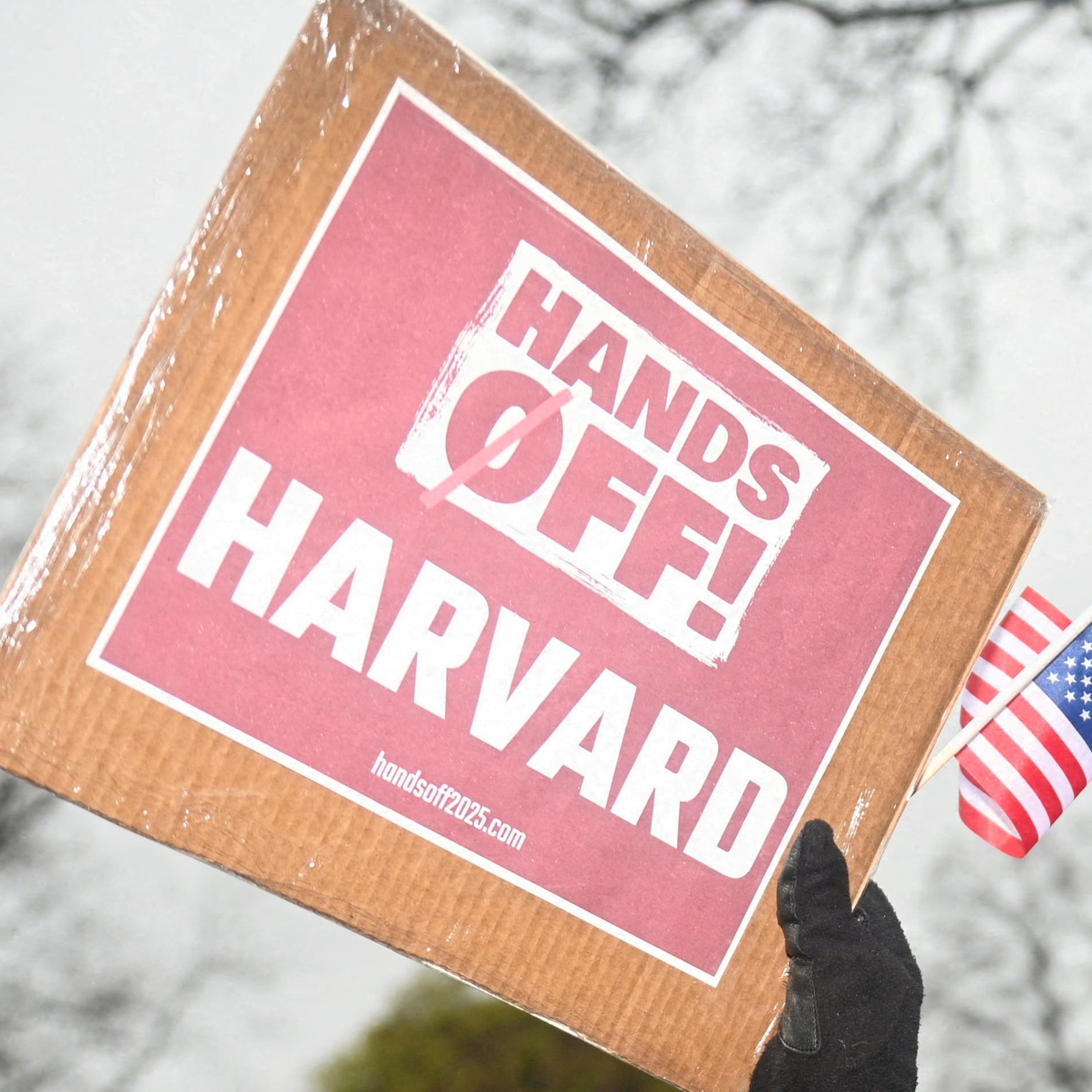 Why MAGA Targets Universities