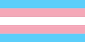expression meaning flag look Transgender activists support rights after for expression meaning flag look Transgender activists support rights after for