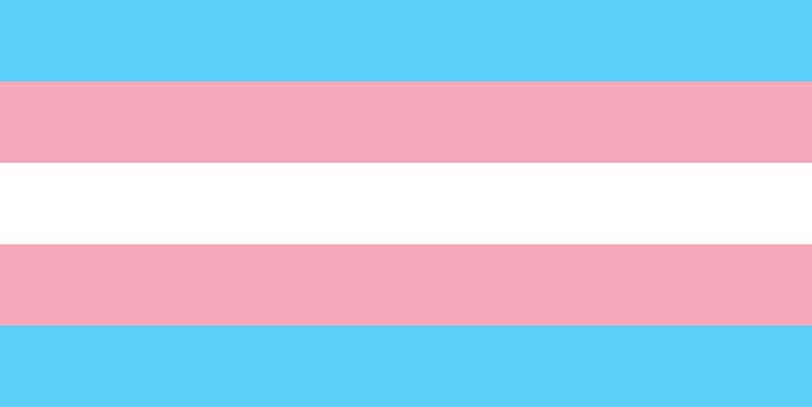 The Transgender Pride flag.