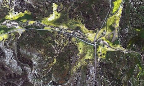Wildflowers along Shell Creek Road in Santa Margarita, California.
