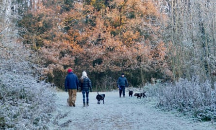 Promeneurs de chiens à Dunsden, Oxfordshire.