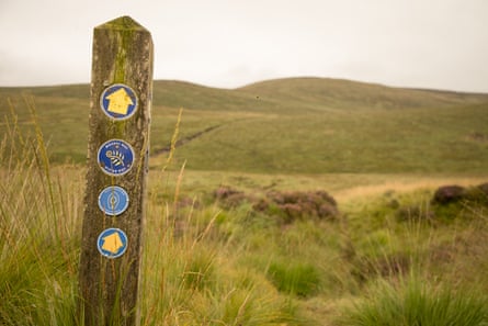 The waymarkers for the pilgrimage often sit aside the Mourne and Ulster Ways