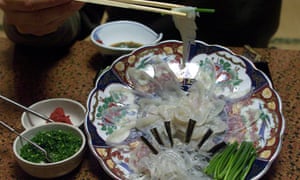 Paper thin slices of raw pufferfish on fancy plate