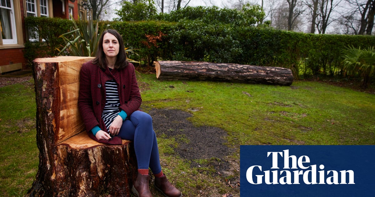‘It was magnificent – I’d look at it in awe’: the beloved trees felled by storms Dudley, Eunice and Franklin
