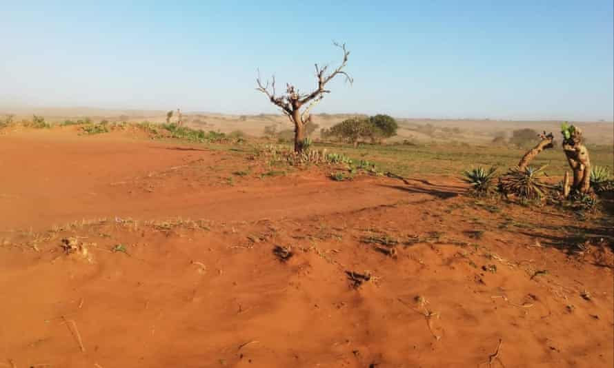 Road in Ambovombe, south of Madagascar