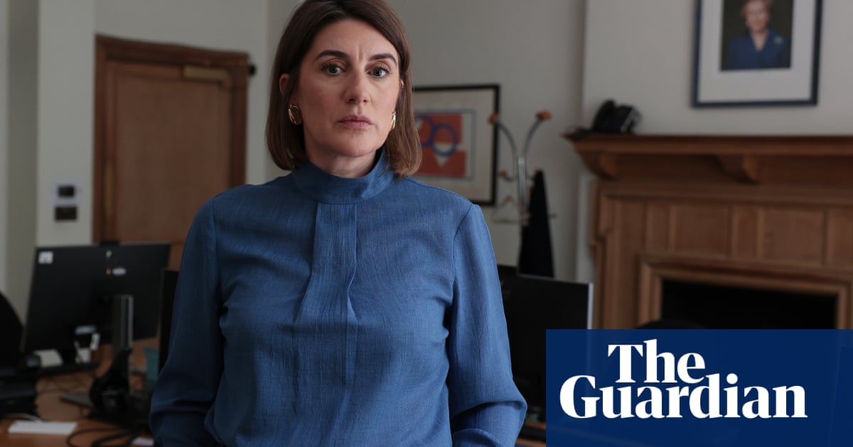 Unless you see it, you can't believe how bad it is': the peer demanding a minister for porn