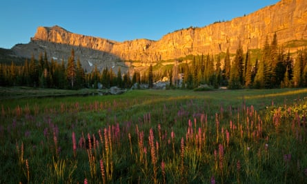 Cliff Mountain and Cliff Pass which is part of the Chinese Wall at sunrise in the Bob Marshall Wilderness in Montana. USA