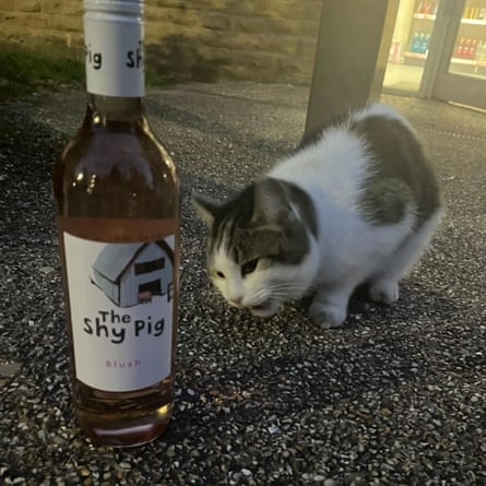 Harold guarding the doors of the village shop.
