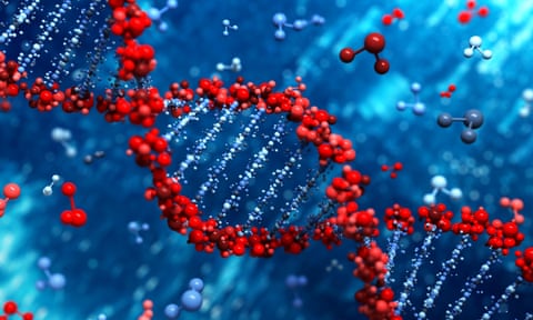 DNA