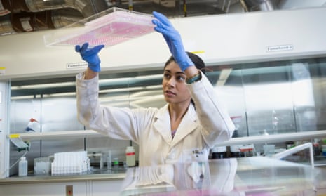 A scientist examines pipette trays in a laboratory.