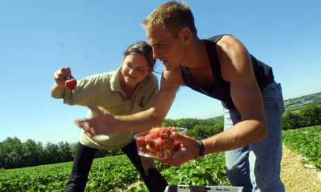 students picking fruit