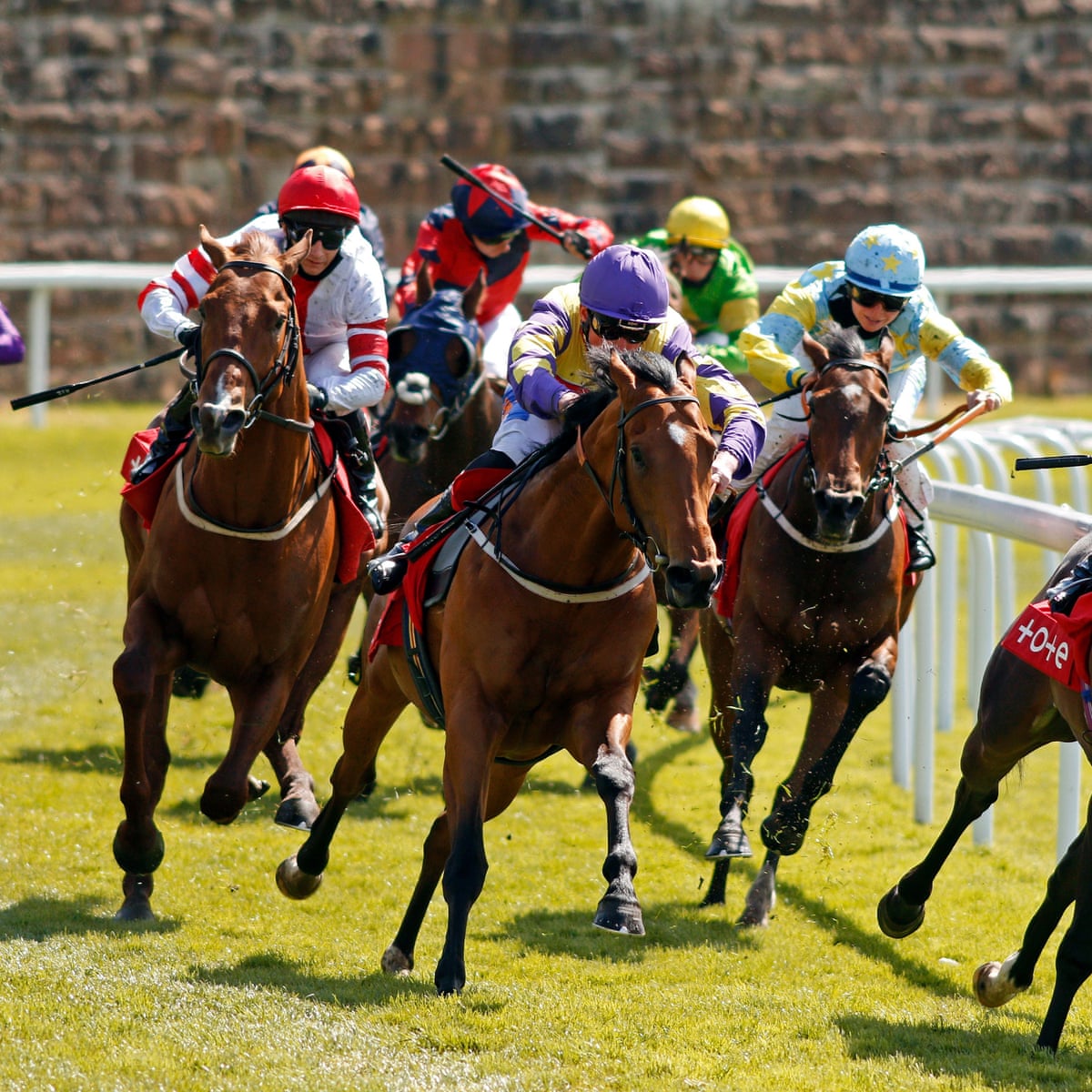 Talking Horses: Showalong can shine at York warm-up for Royal Ascot | Horse  racing tips | The Guardian