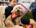 Dog-eared page-turners: how Tashi and 388 other canines are helping Australian children to read