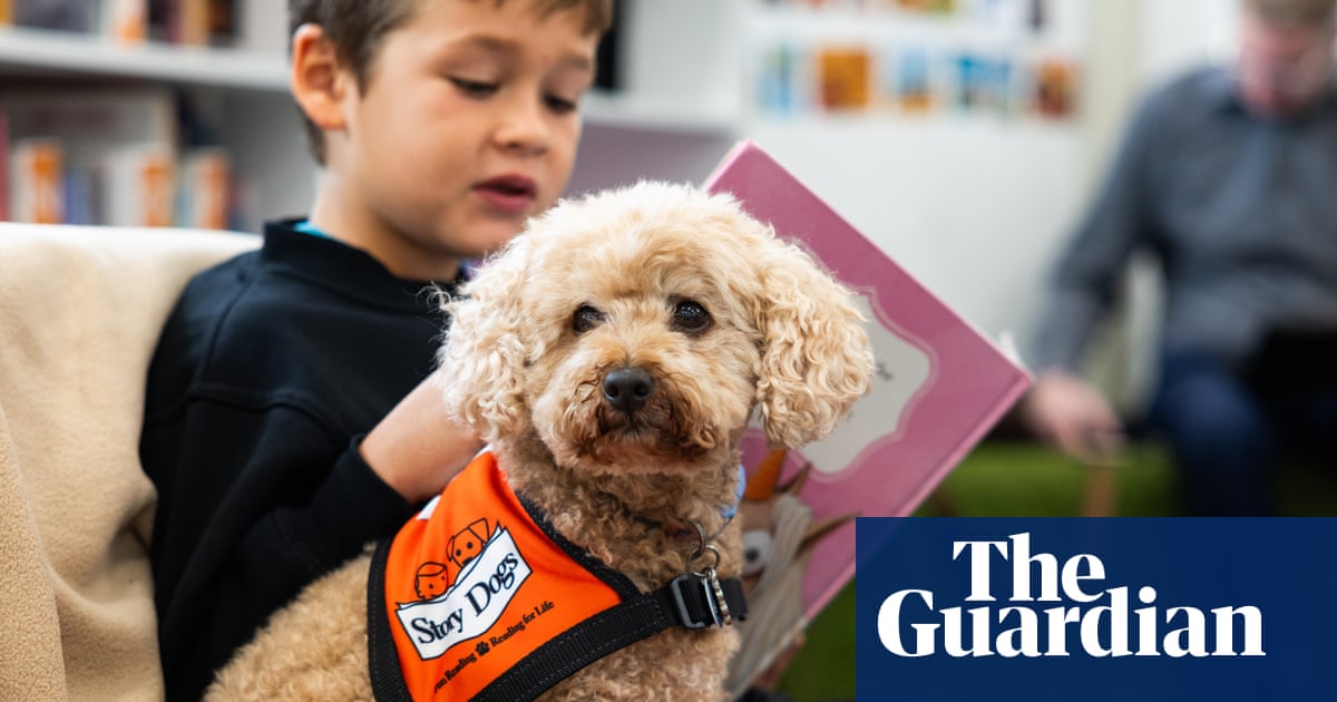 Meet Tashi, the miniature poodle helping children gain the confidence to read aloud – video