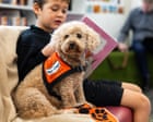 Meet Tashi, the miniature poodle helping children gain the confidence to read aloud – video