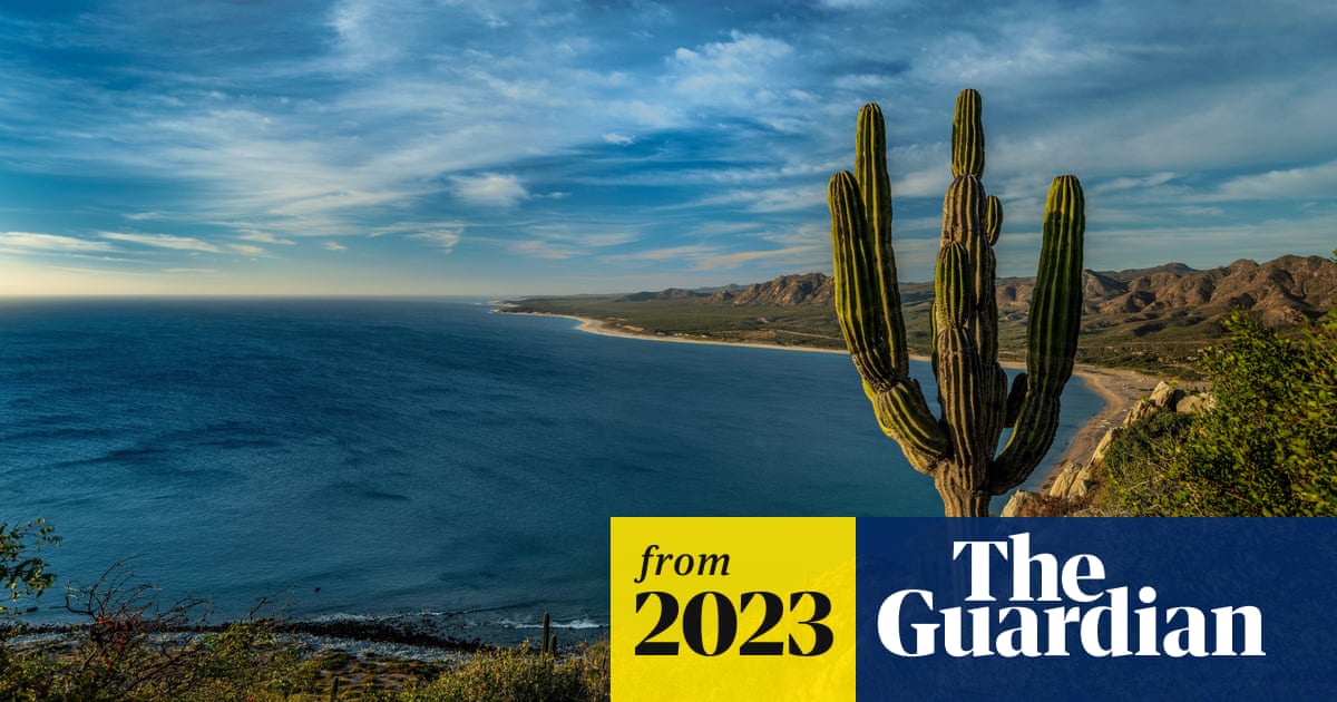 www.theguardian.com
