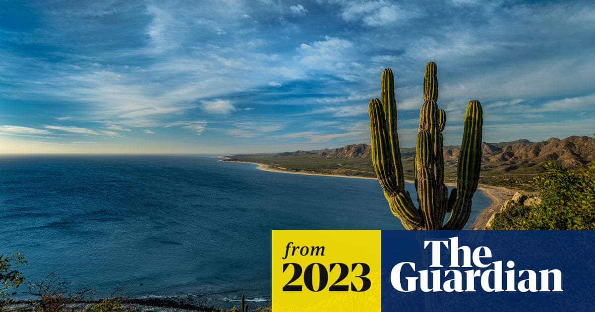 www.theguardian.com