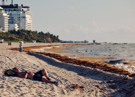 people on a beach near piles of sargassum