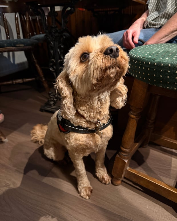 Margot in a pub in Gosport